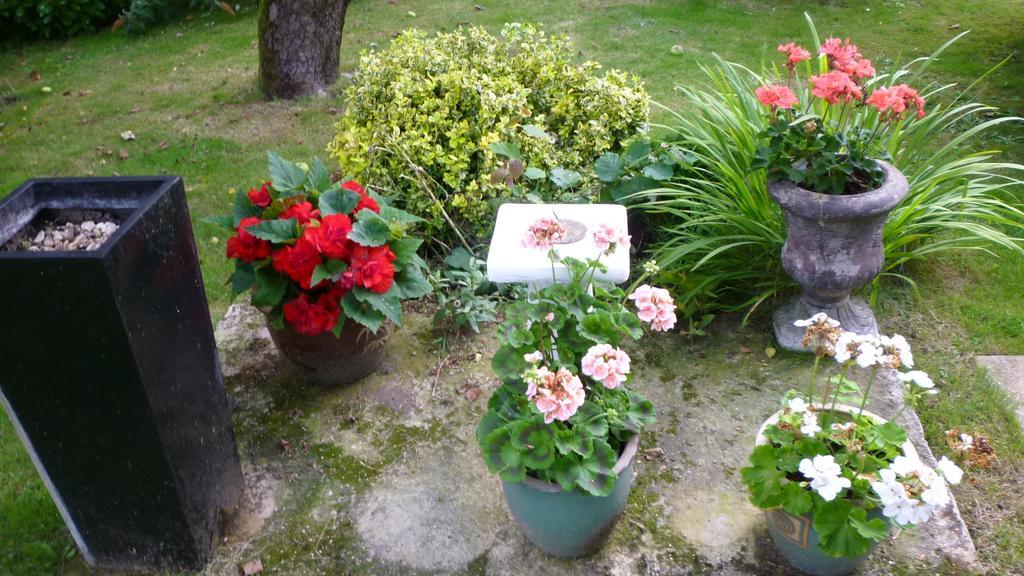 Hopewell Self-Catering Apartment Грейвсенд Екстериор снимка